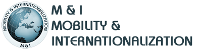 internationalmobility.it